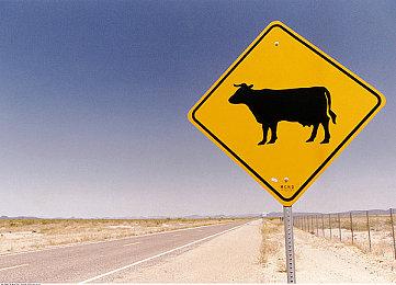 虚幻5重制 《方舟：生存上升》首部实机预告片公布